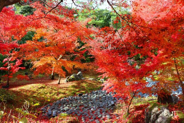 宝厳院12月