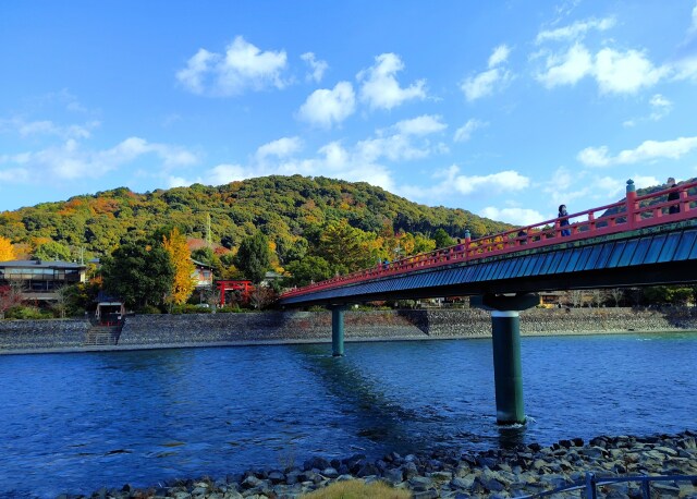 秋の宇治川