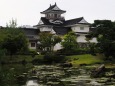 秋の富山城址公園