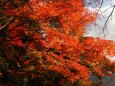 山寺の紅葉