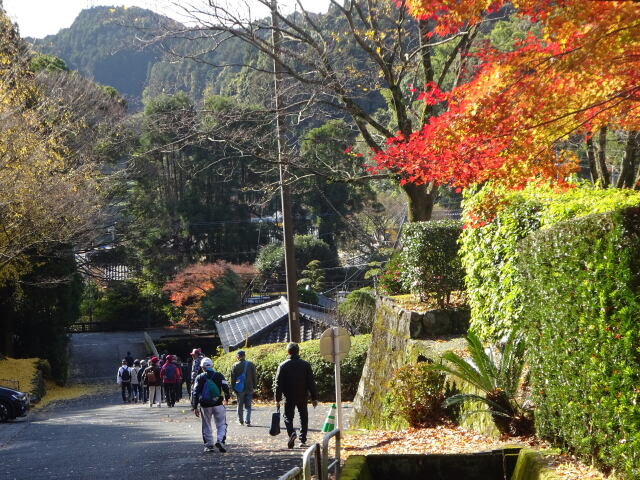 晩秋山寺の紅葉