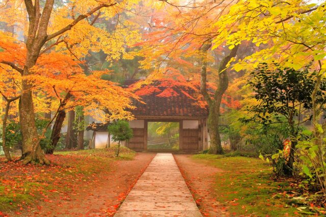 中尊寺 釈迦堂