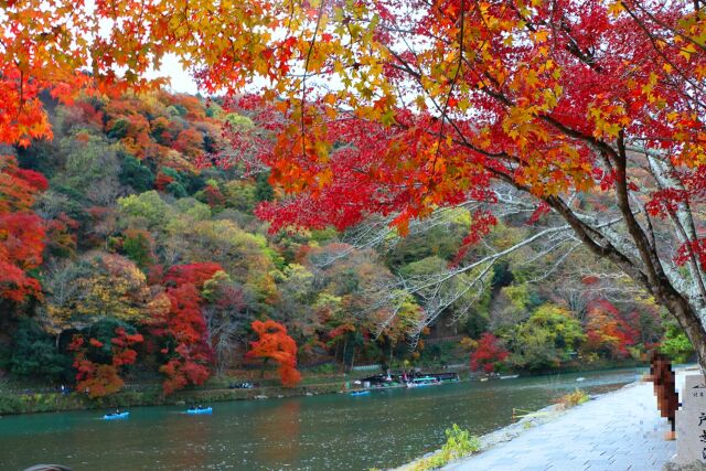 12月の嵐山