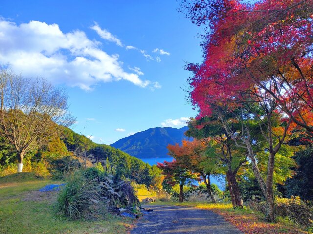 海に続く散歩道