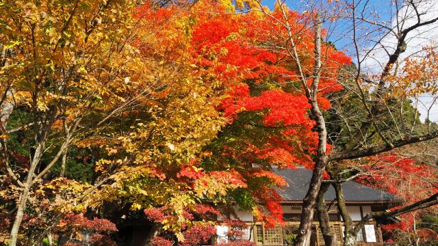 秋の山寺