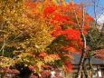 秋の山寺