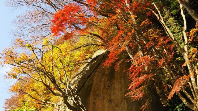 秋の山寺