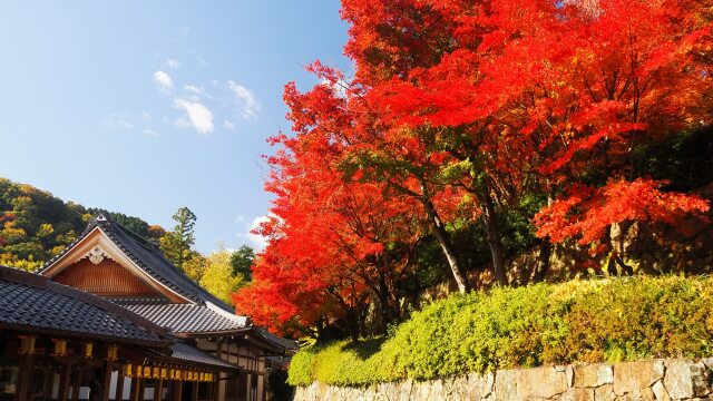 秋の光明寺