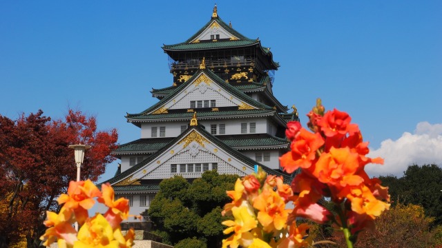 秋の大阪城公園