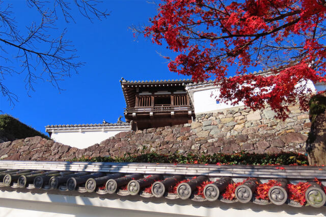 福知山城 釣鐘門 晩秋