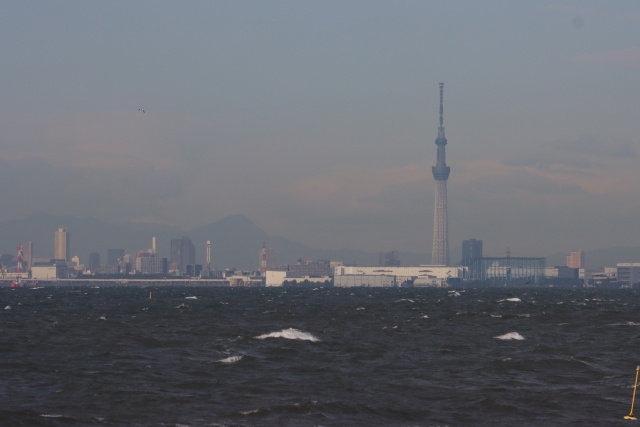 いなげの浜からのスカイツリー