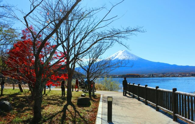 晩秋の河口湖