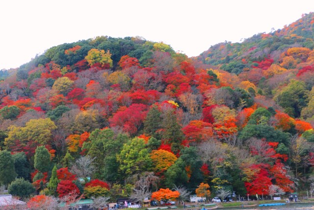 嵐山12月