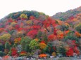 嵐山12月