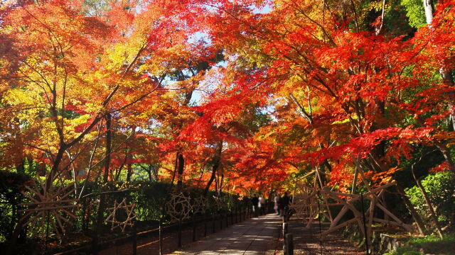 秋の光明寺