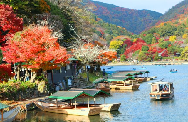 嵐山12月