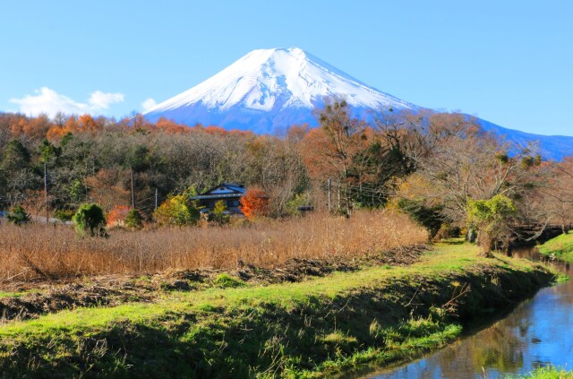 晩秋の忍野八海