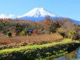 晩秋の忍野八海