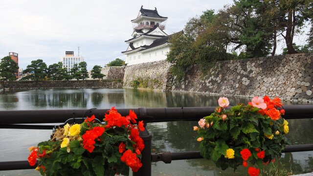 秋の富山城址公園