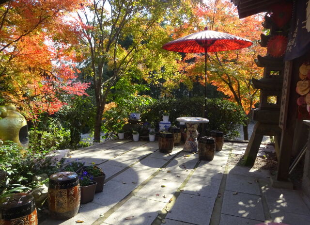 晩秋お寺境内の紅葉