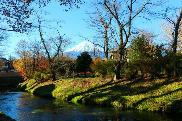 晩秋の忍野八海