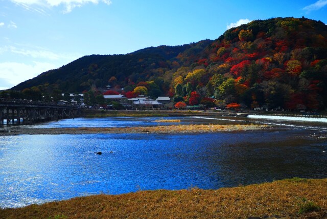 12月の嵐山