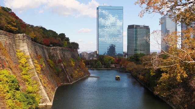 秋の大阪城公園