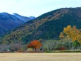 紅葉と初雪