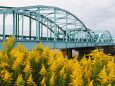 秋の神通川の風景