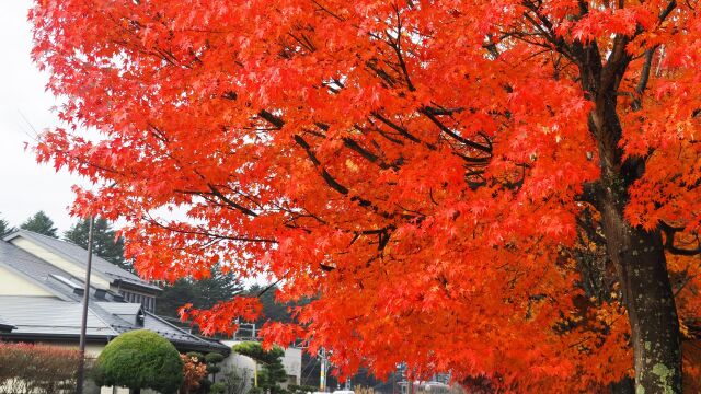 秋の軽井沢