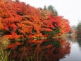 秋の雲場池