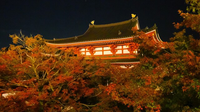 秋の夜の平等院