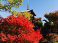 秋の東寺