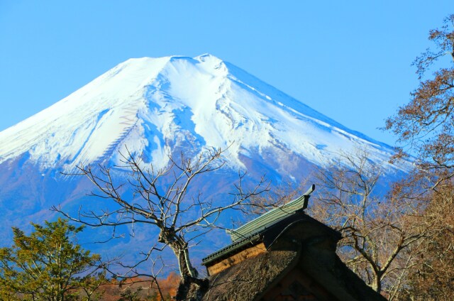 晩秋の忍野八海