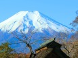 晩秋の忍野八海