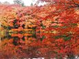 秋の雲場池