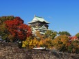 秋の大阪城公園