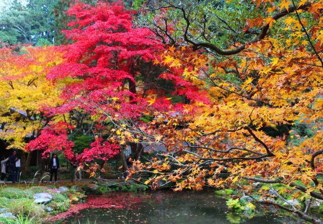 南禅寺庭園