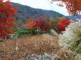 晩秋の嵯峨野