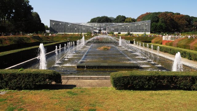 秋の神代植物公園