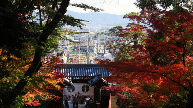 秋の光明寺