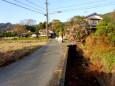 山茶花さく初冬の里