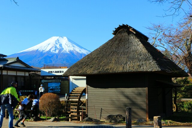 晩秋の忍野八海