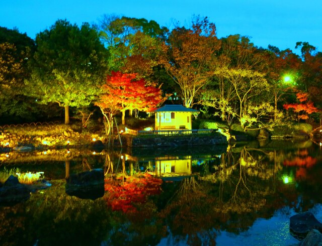 白鳥庭園ライトアップ