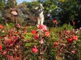 秋の神代植物公園