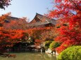 秋の東寺