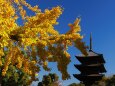 秋の東寺