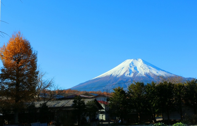 晩秋の忍野八海