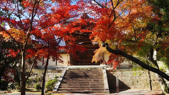 秋の光明寺