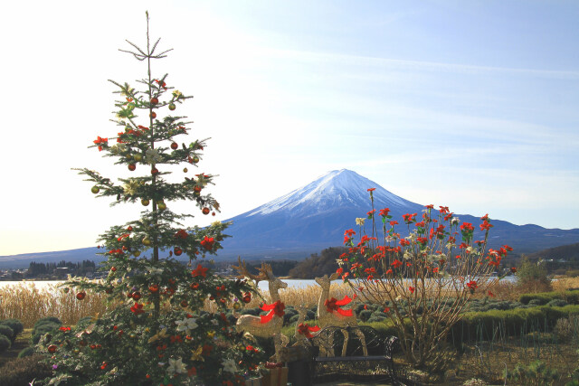 大石公園のクリスマス